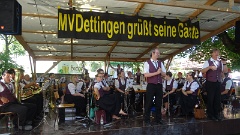 2016-07 Schlossgartenkonzert Dettingen (15)